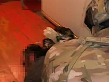 ФСБ показала видео задержания готовящих теракт на Северном Кавказе исламистов