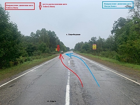 Опасный маневр на дороге привел к ДТП с пострадавшим в ЕАО