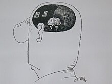 Зачем ученые начали выращивать мини-мозги
