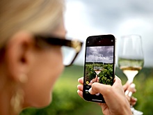 Доля отечественного спиртного на российском рынке достигла 79 процентов