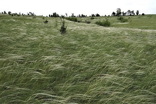 Холмы-останцы взяли под охрану