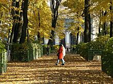 Россияне отметили последствия теплой осени