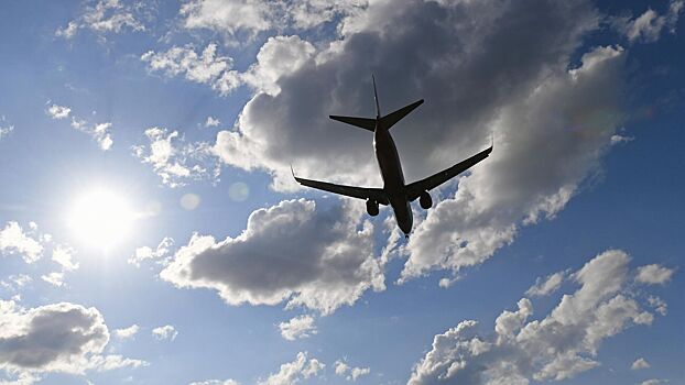 Студенты из Владивостока спасли пассажира в самолете из Сочи