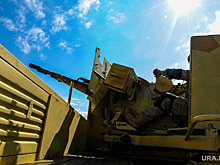 Курганский сенатор раскрыл детали поездки в Сирию