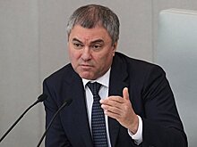 Володин дал совет пострадавшим от домогательств