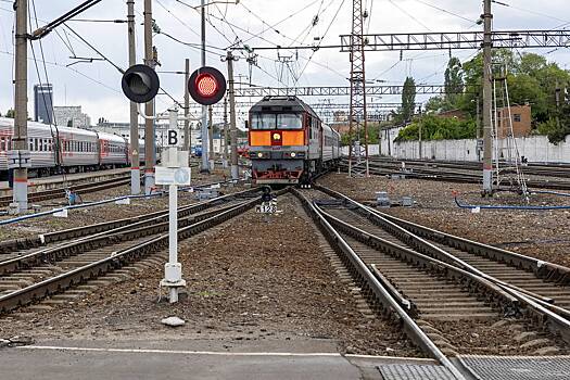 Под Москвой ребенок попал под поезд из-за пьяной матери