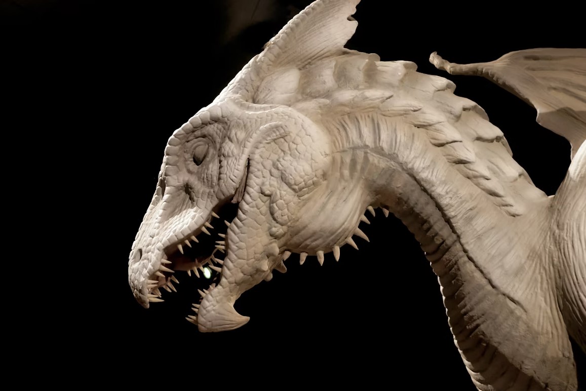 Почему 52-летняя женщина видела людей с лицами драконов