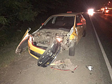 В Самаре в ночь на 22 июля 2021 года таксист сбил кабана