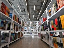 Минкульт Татарстана потратит на закупку и доставку книг 2,8 млн рублей