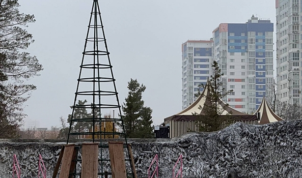 В ЦПКиО Волгограда приступили к установке новогодней ели