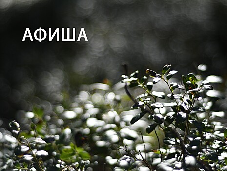 Афиша событий Тверской области на 25-27 сентября