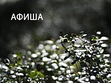 Афиша событий Тверской области на 25-27 сентября