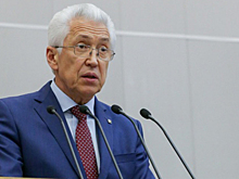 Владимир Васильев рассказал о своей предвыборной программе Народному Собранию