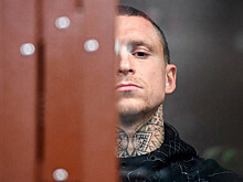 Мамаев частично признал вину