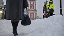 В Петербурге за дворниками предложили следить по GPS-трекерам