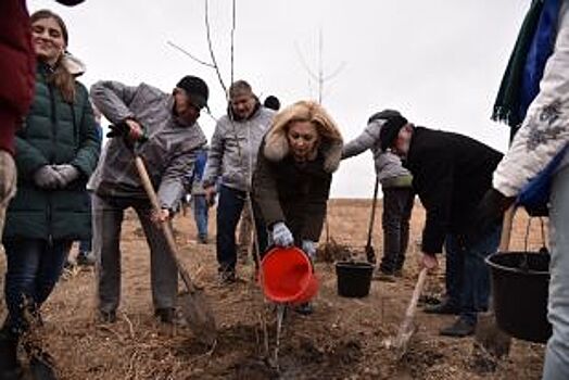 Зону отдыха планируют создать в Светлограде на месте ликвидированной свалки