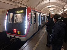 Упавший на пути на фиолетовой ветке пассажир московского метро выжил