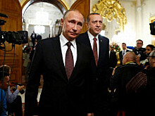 Forbes: Эрдоган устроил переполох в Голландии «по заданию Путина»