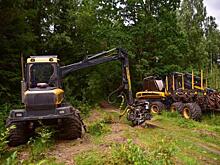 ТрансФин-М запускает новую программу лизинга в лесном комплексе