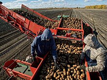 Система государственной кадастровой оценки нуждается в реформах