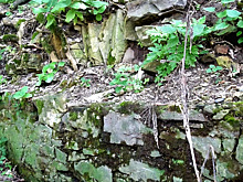 Археологическая разведка из Эрмитажа началась под Туапсе