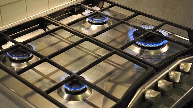 Почти четверть жителей Вологодчины, использующих природный газ, рискуют собственной безопасностью