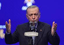 Стала известна причина отмены Эрдоганом визита турецкой делегации в Давос