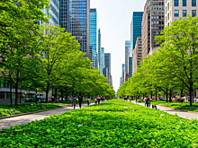 Глава Новороссийска Андрей Кравченко поставил амбициозную задачу: за 10 лет кардинально улучшить экологию и комфорт городской среды