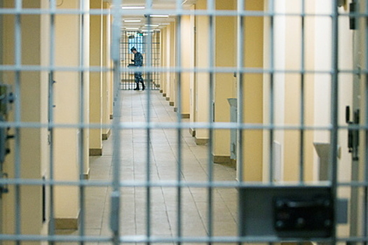 Четверо россиян получили от 10 до 20 лет колонии за убийство 16-летней девушки