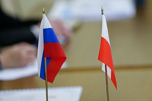 В Совфеде назвали политиканством заявление Польши о Ту-154