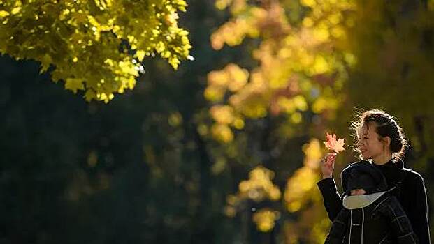 44% от месячной нормы осадков выпало с начала октября