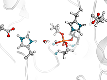 Установлен механизм действия противоядия для борьбы с химическим оружием