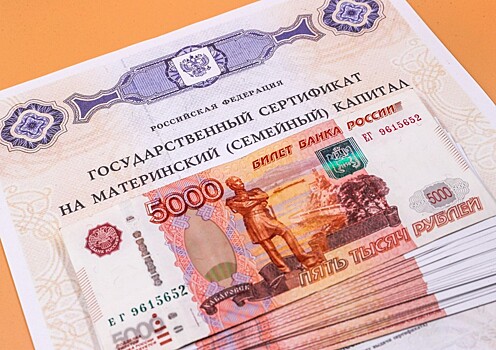 В России предложили разрешить тратить маткапитал на покупку машины