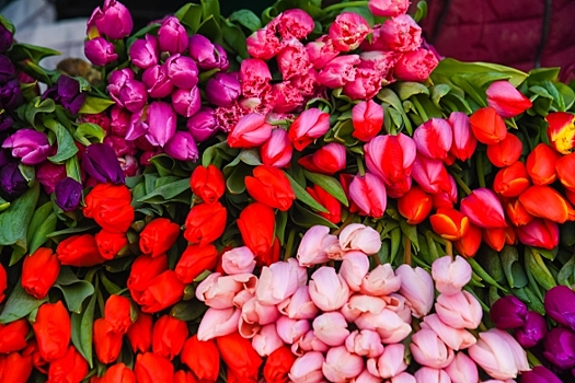 На 8 Марта волгоградцы радуют любимых гиацинтами и тюльпанами