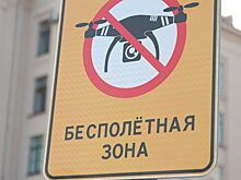 В Петербурге полицию хотят внести в список ведомств для согласования полетов БПЛА