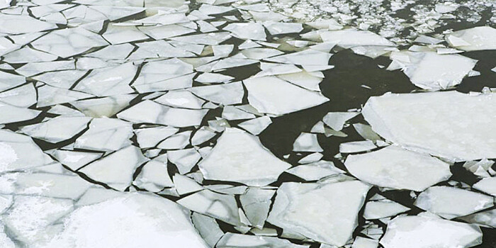 В Псковской области местный житель спас провалившихся под лед детей