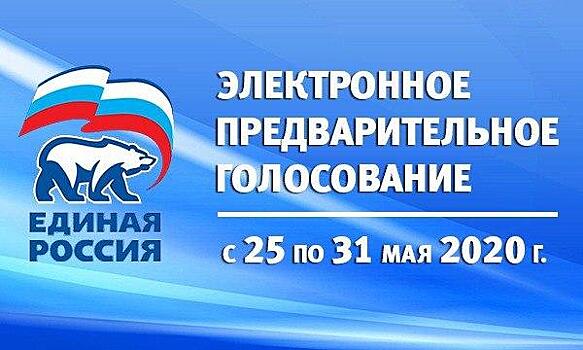 «Впервые онлайн» – в Московской области стартовала процедура предварительного голосования