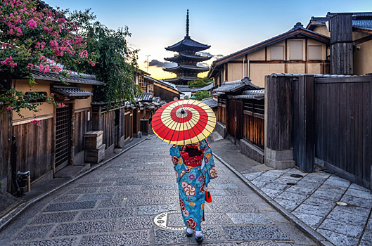 Туристам предложили дешевые билеты в Японию