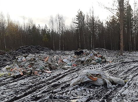 В Сегеже появилась стихийная свалка строительного мусора