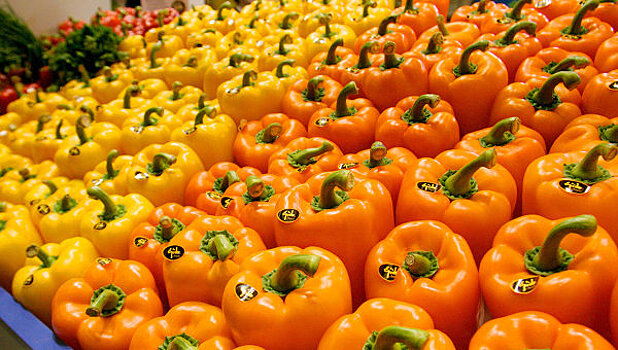 Россельхознадзор проверит турецких производителей перца