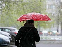Синоптик пообещал москвичам мокрый снег в апреле