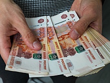 Госдума одобрила проект о компенсации за невыплату зарплаты