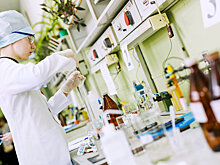 Казанские ученые создали реагенты нового поколения из касторки