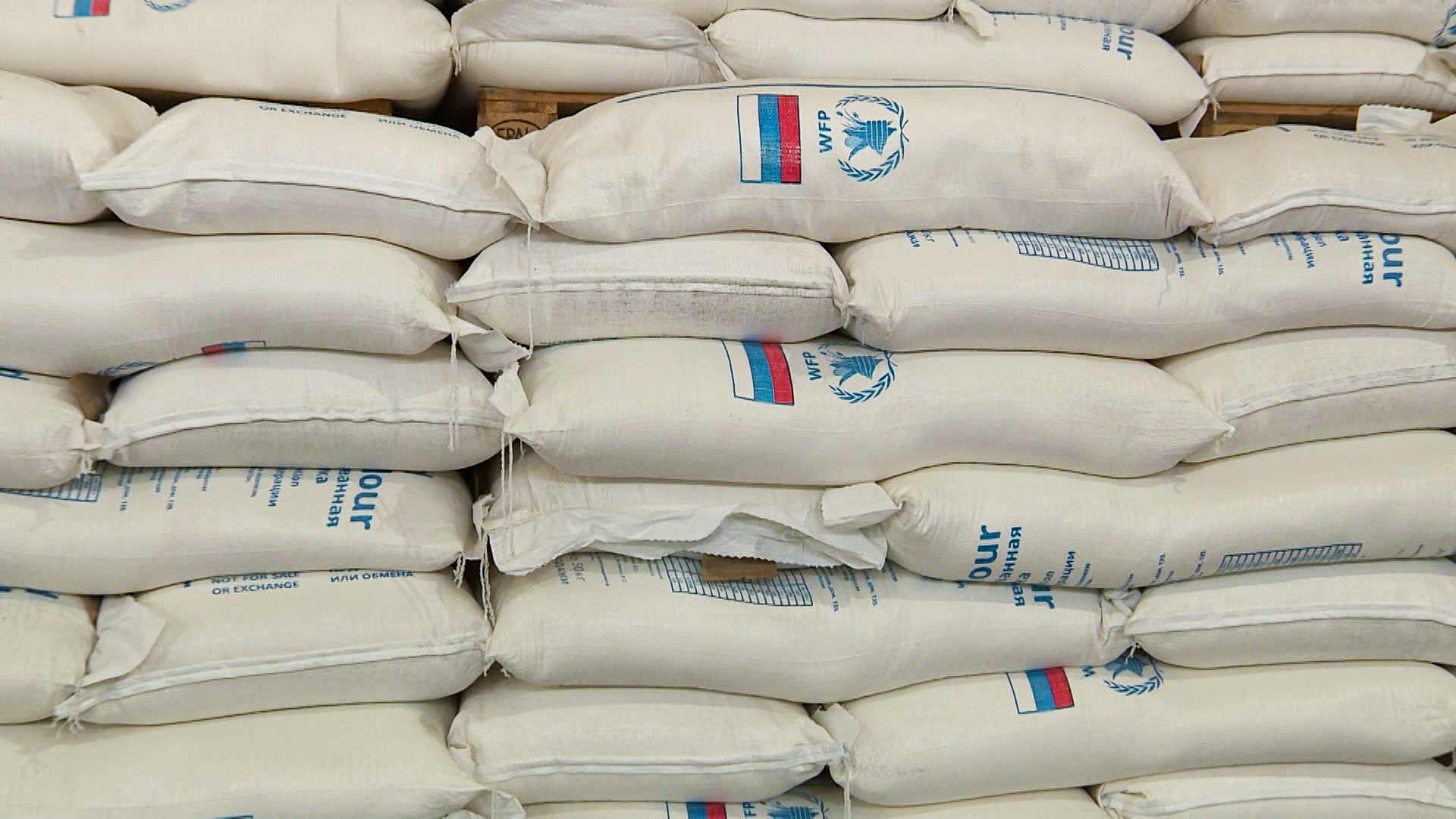 Россия передала Кыргызстану гумгруз весом более 1000 тонн: продукты выдаются в обмен на общественные работы