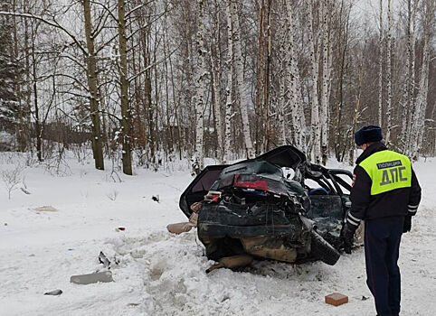 Многодетная россиянка погибла в ДТП с грузовиком
