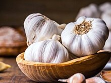Чеснок спасет человечество от опасных инфекций