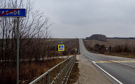 Рязанского пенсионера сбили насмерть несколько автомобилей