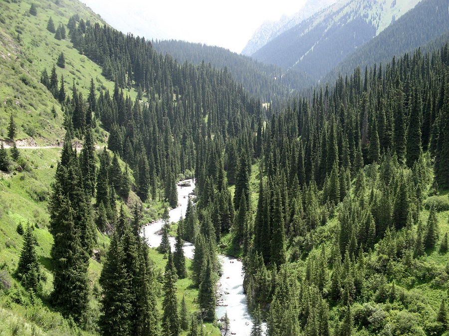 Ущелье Каракол, Каракол, Киргизия, Азия