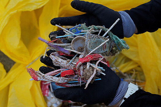 В РФ начнут продавать экотуры для очистки пляжей от пластика