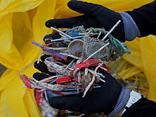 В РФ начнут продавать экотуры для очистки пляжей от пластика